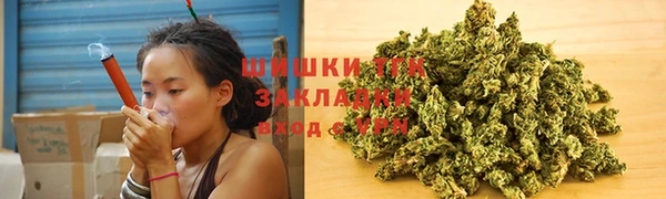 твердый Богданович