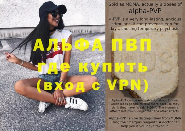 твердый Богданович