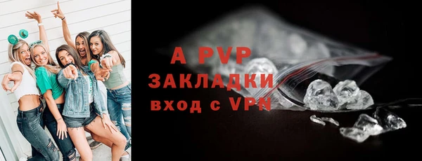 твердый Богданович