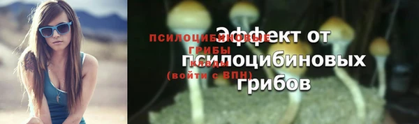 герыч Богородск