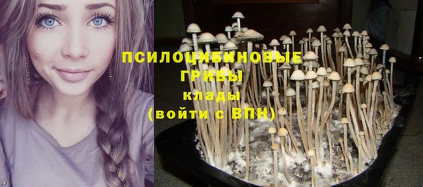 герыч Богородск