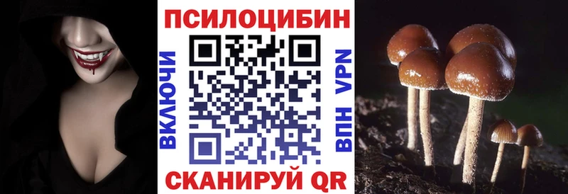 MEGA tor  Ногинск  Псилоцибиновые грибы Magic Shrooms 
